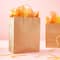 10" Natural Paper Bag Value Pack by Celebrate It™